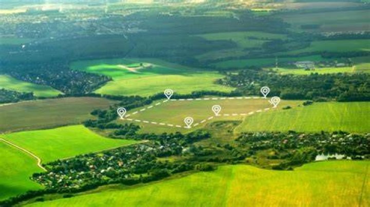 Can you buy forest land?