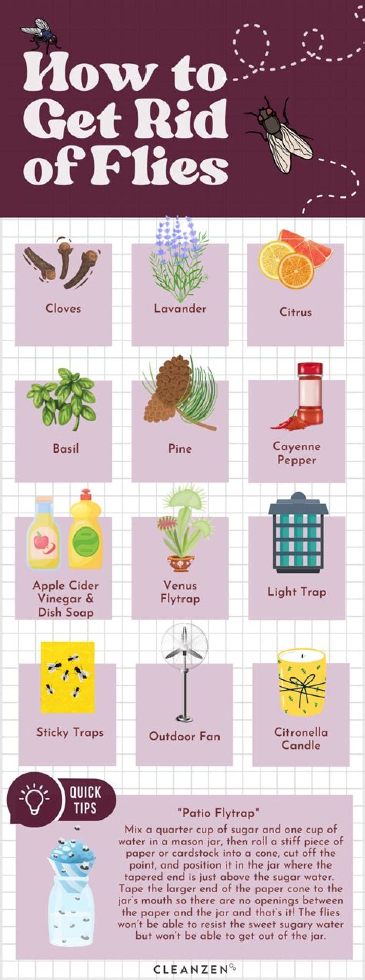 How do you get rid of melon flies?