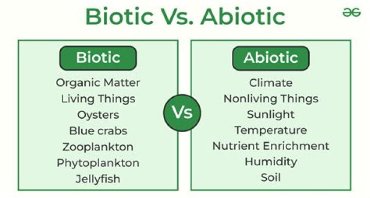 Is Petroleum biotic or abiotic?