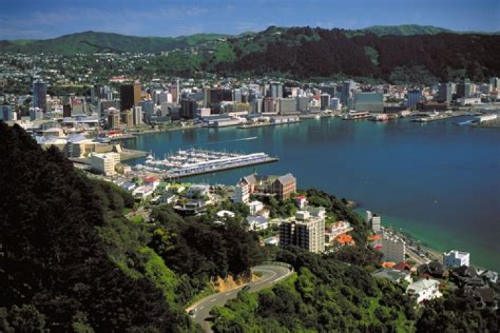 What was NZ First Capital City?